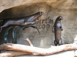 Akron Zoo Otters